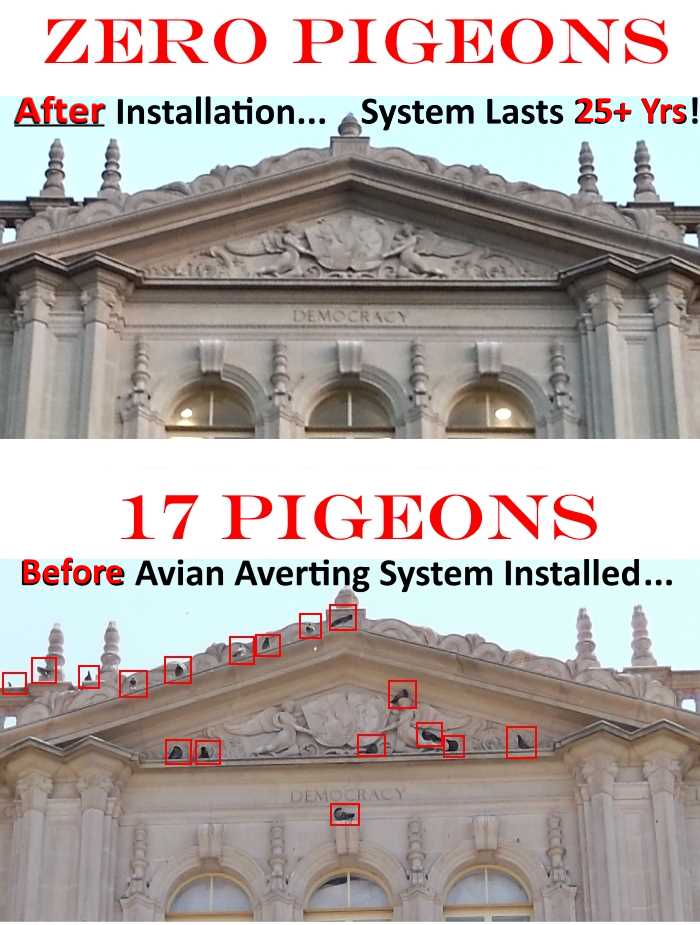 Avian Averting System before and after memorial bldg. photo