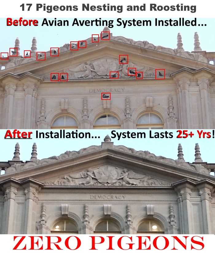 Avian Averting System before and after historical bldg. photo